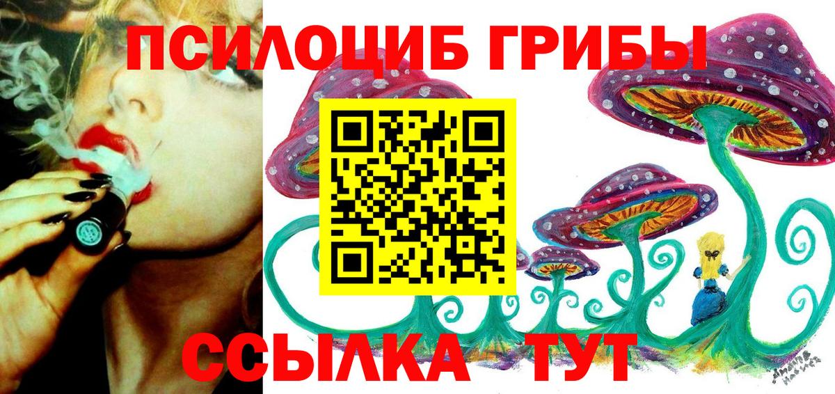 Галлюциногенные грибы Psilocybine cubensis  Псилоцибиновые грибы прущие грибы  Вход с VPN  Королёв 